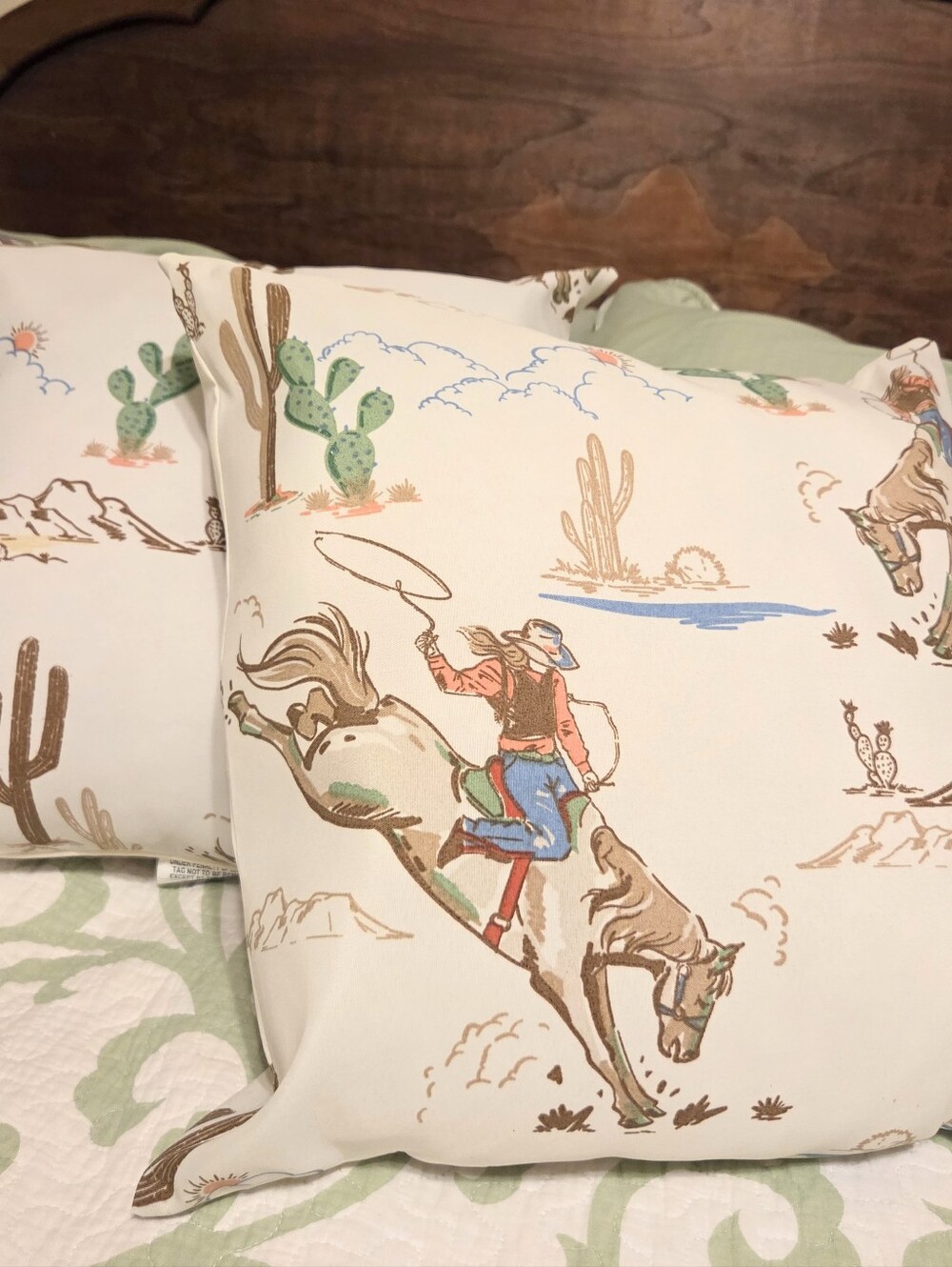 2 Western Rodeo Print Decorative Pillows - Picture 4 of 7